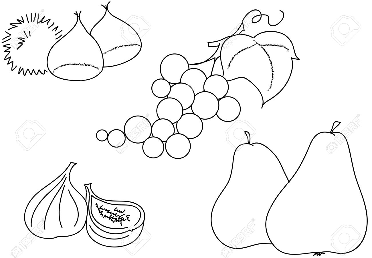Illustrations à Colorier De Raisin Fruits Figues Châtaignes Avec Cosse Et Les Poires