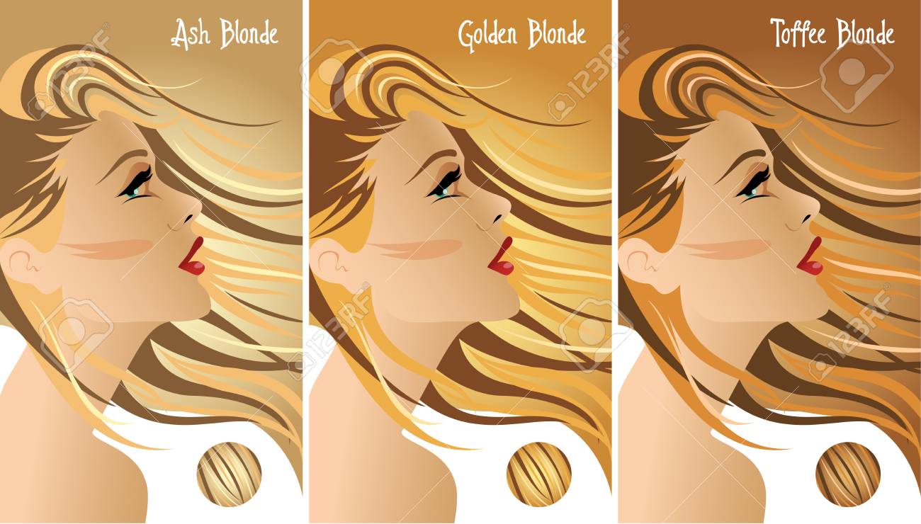 Blonde Hair Colors Chart Royalty Free Cliparts Vectors And