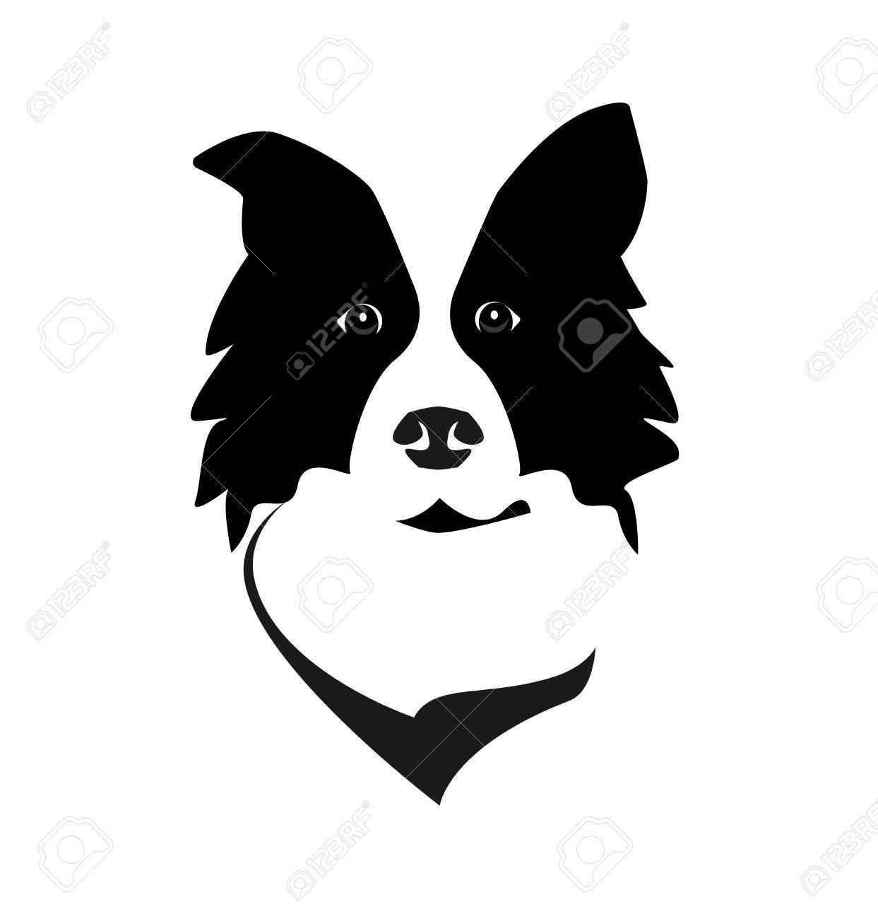 Border Collie Head Logo Icon Vector. Dog Face Simple Design. Royalty Free  SVG, Cliparts, Vectors, and Stock Illustration. Image 82962407., image size:1243x1300