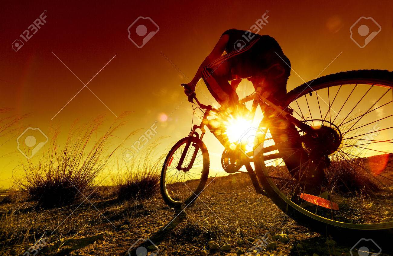 Dreamy sunset and healthy life.Fields and bicycle - 40977050 Dreamy sunset and healthy life.Fields and bicycle - 40977050