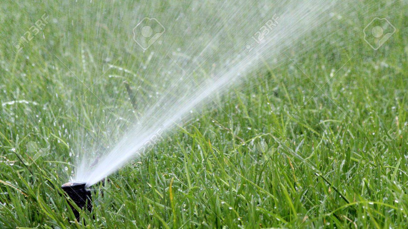 automatic garden irrigation spray watering lawn stock photo picture image lawn spray