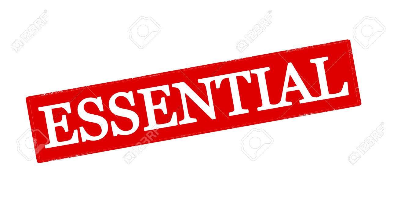 rubber stamp with word essential inside vector illustration royalty