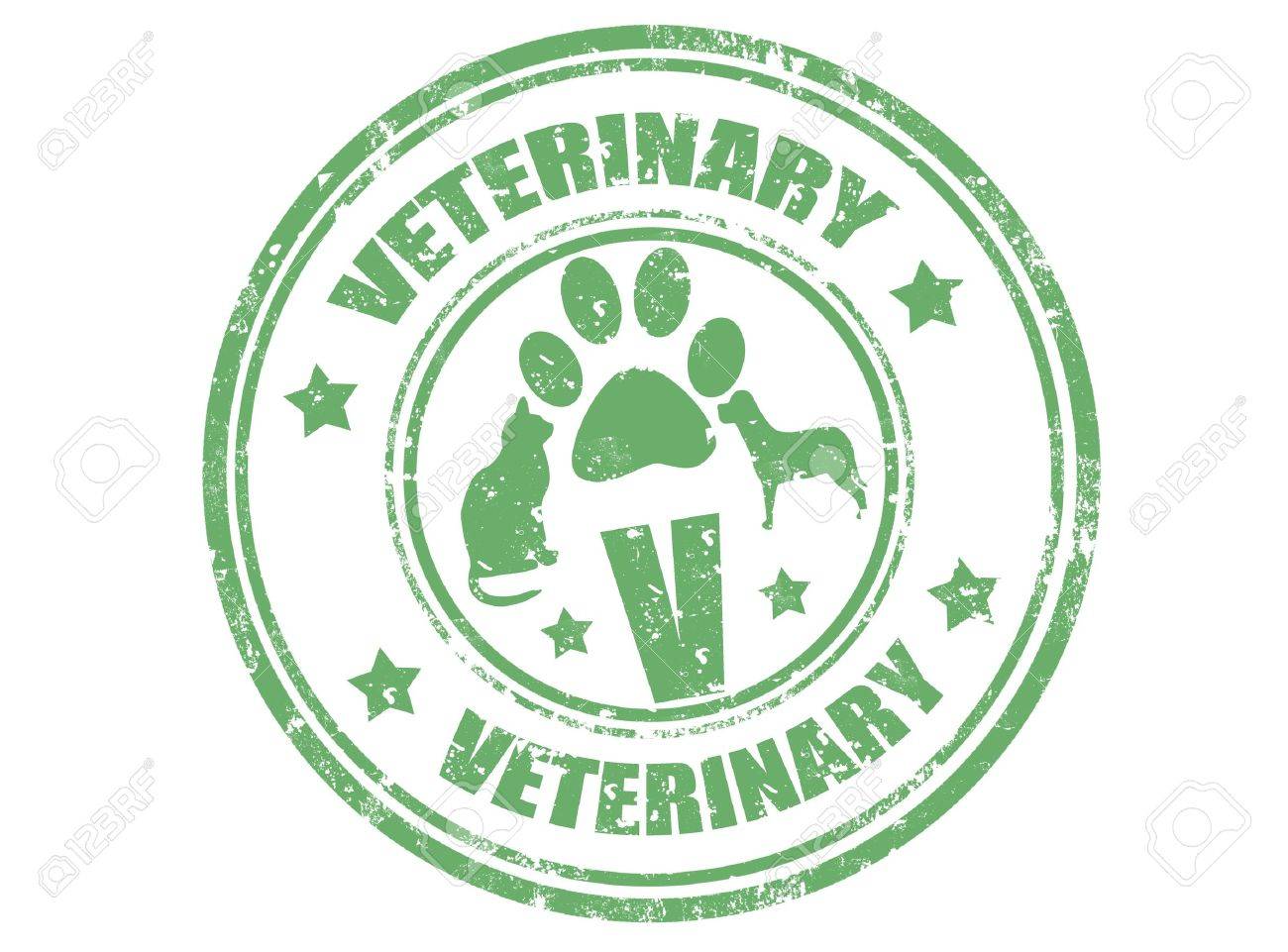 Grunge rubber stamp with word veterinary inside,vector illustration - 16942294 Grunge rubber stamp with word veterinary inside,vector illustration - 16942294