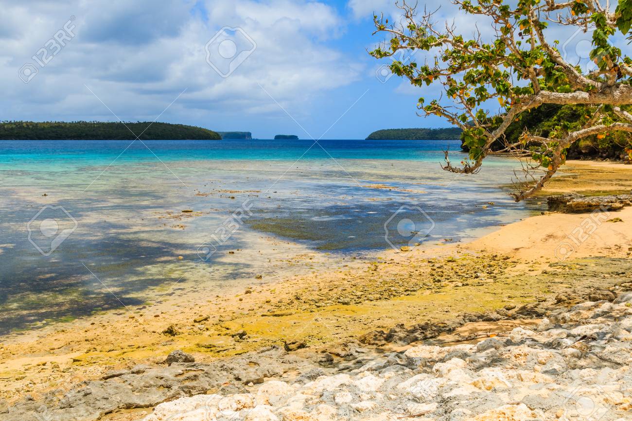 Vavau Archipelago Neiafu Tonga View Of Tropical Beach In