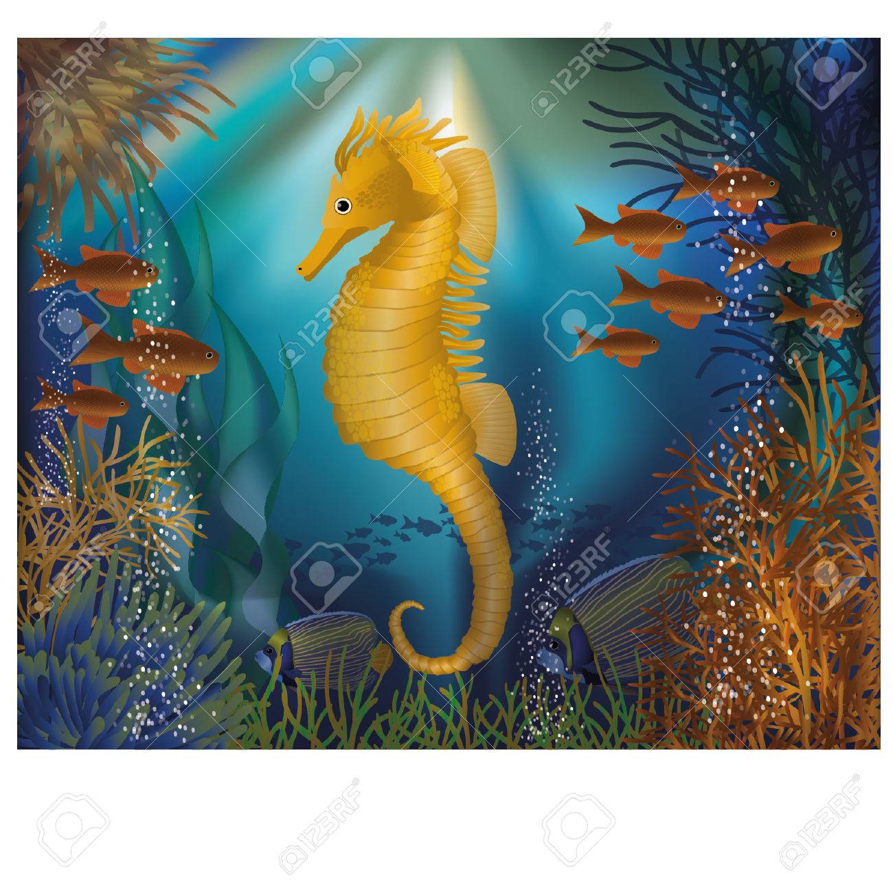 Fondo De Pantalla Bajo El Agua Con Peces De Mar Caballito De Mar, Ilustración Vectorial Ilustraciones Svg, Vectoriales, Clip Art Vectorizado Libre De Derechos. Image 39573317. Fondo De Pantalla Bajo El Agua Con Peces De Mar Caballito De Mar, Ilustración Vectorial Ilustraciones Svg, Vectoriales, Clip Art Vectorizado Libre De Derechos. Image 39573317.