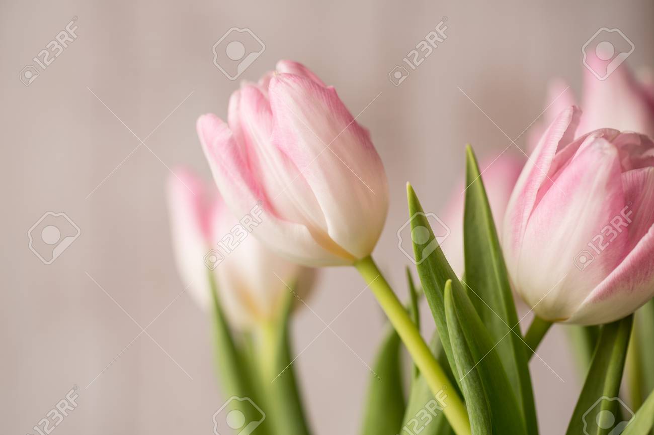 bouquet of pink and