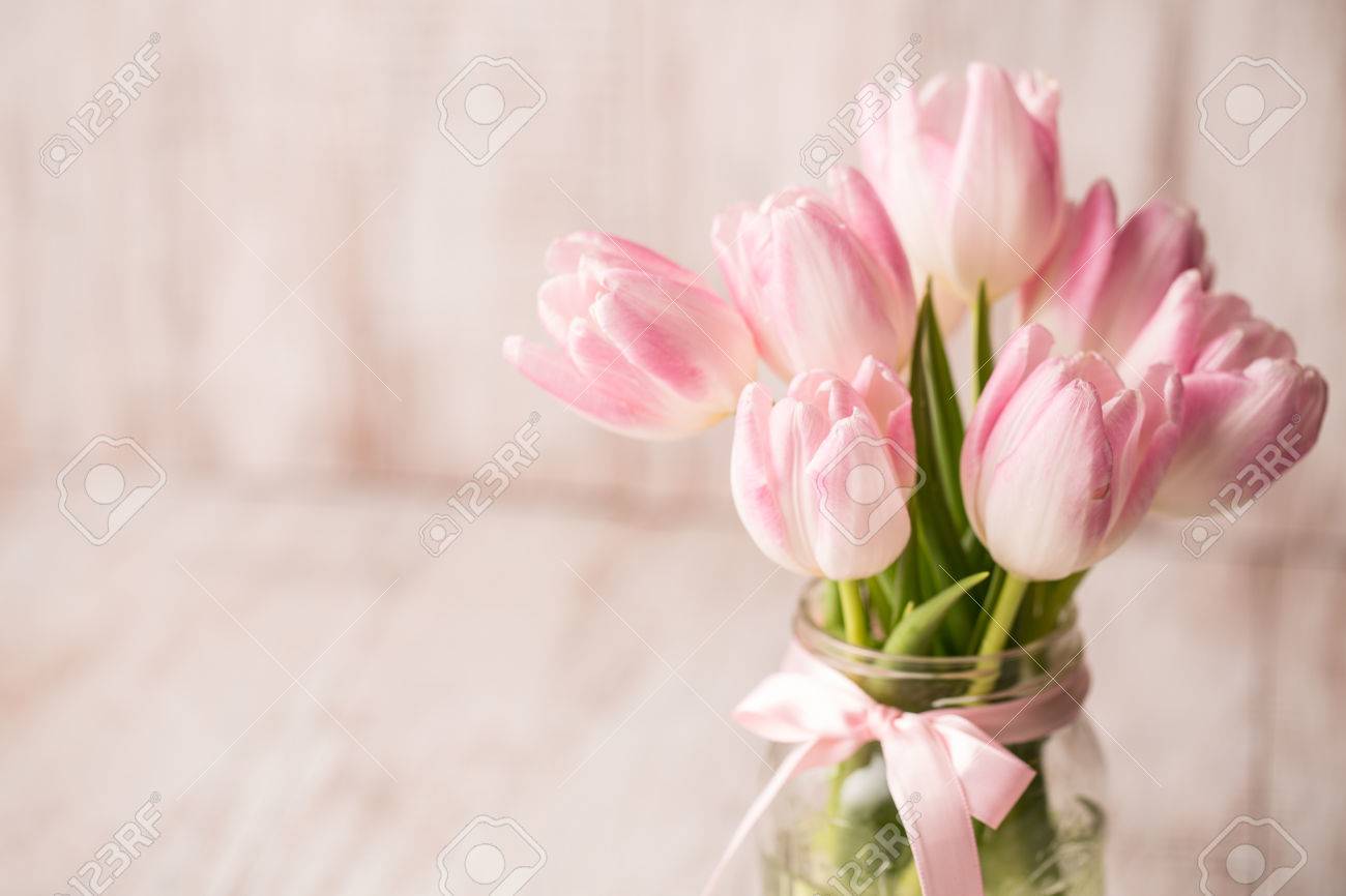 pink and white tulips