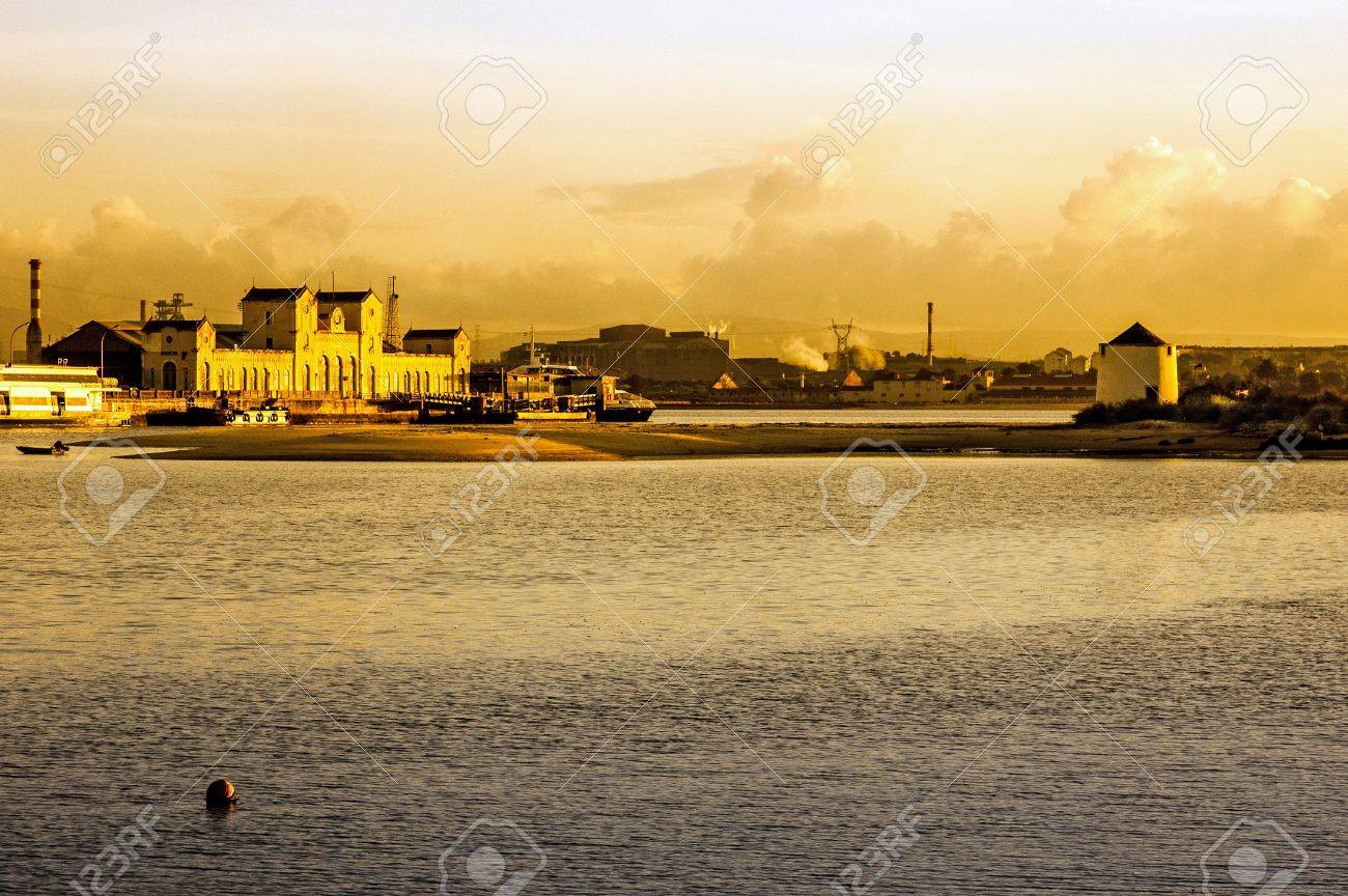 etiam-dictum-ipsum-a-felis