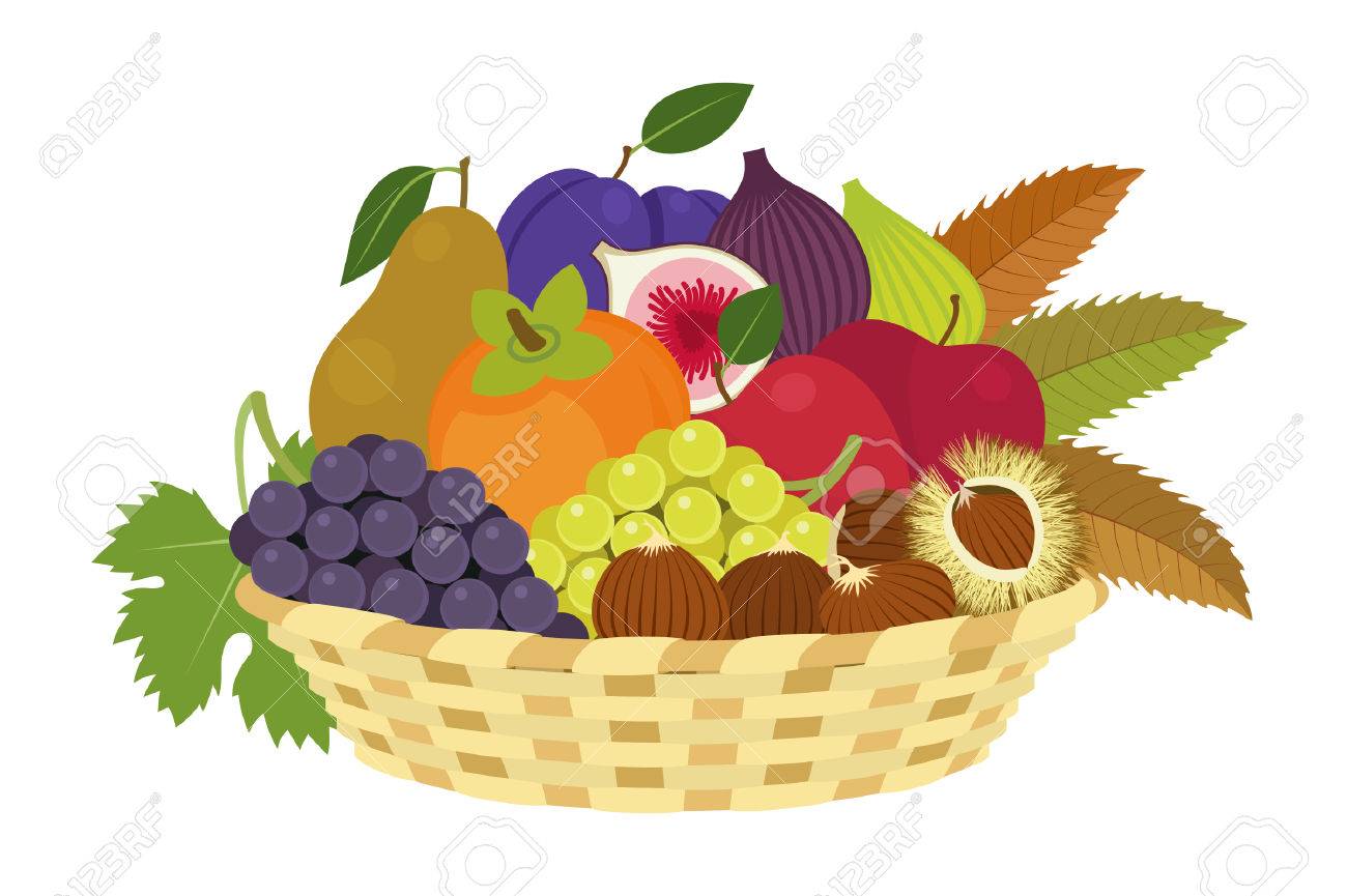 白い背景の上の秋のフルーツ バスケット のイラスト素材 ベクタ Image