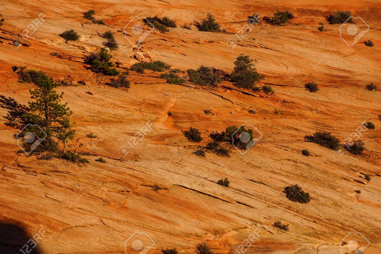 Détail De Couches De Grès Sédimentaires Au Coucher Du Soleil Zion National Park Utah