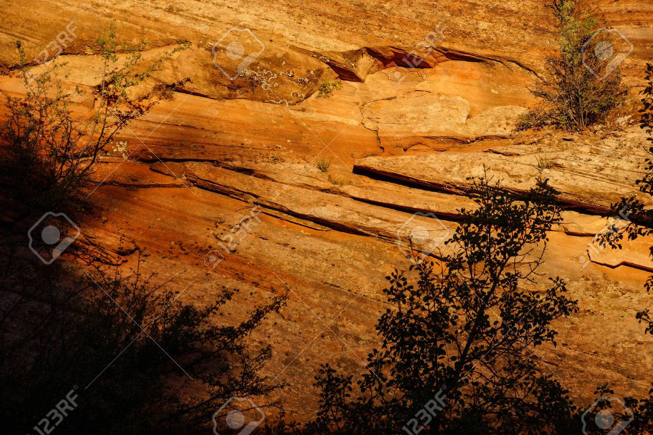 Détail De Couches De Grès Sédimentaires Au Coucher Du Soleil Zion National Park Utah