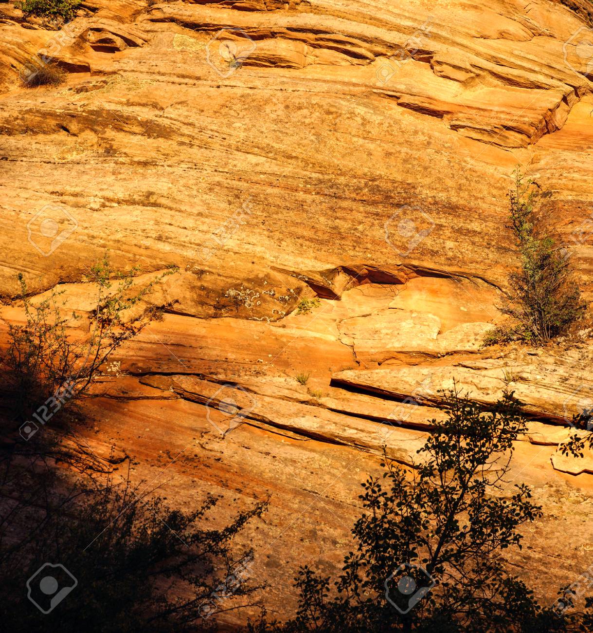 Détail Des Couches De Grès Sédimentaires Au Coucher Du Soleil Zion National Park Utah