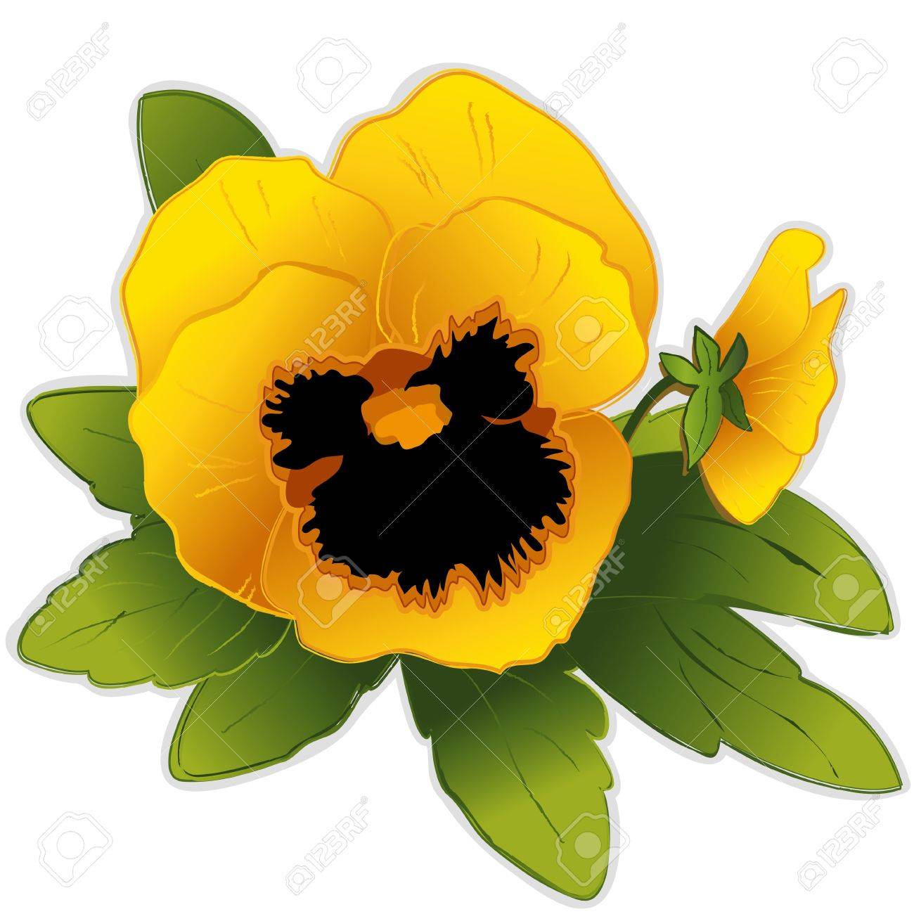 パンジーの黄金の花のイラスト素材 ベクタ Image