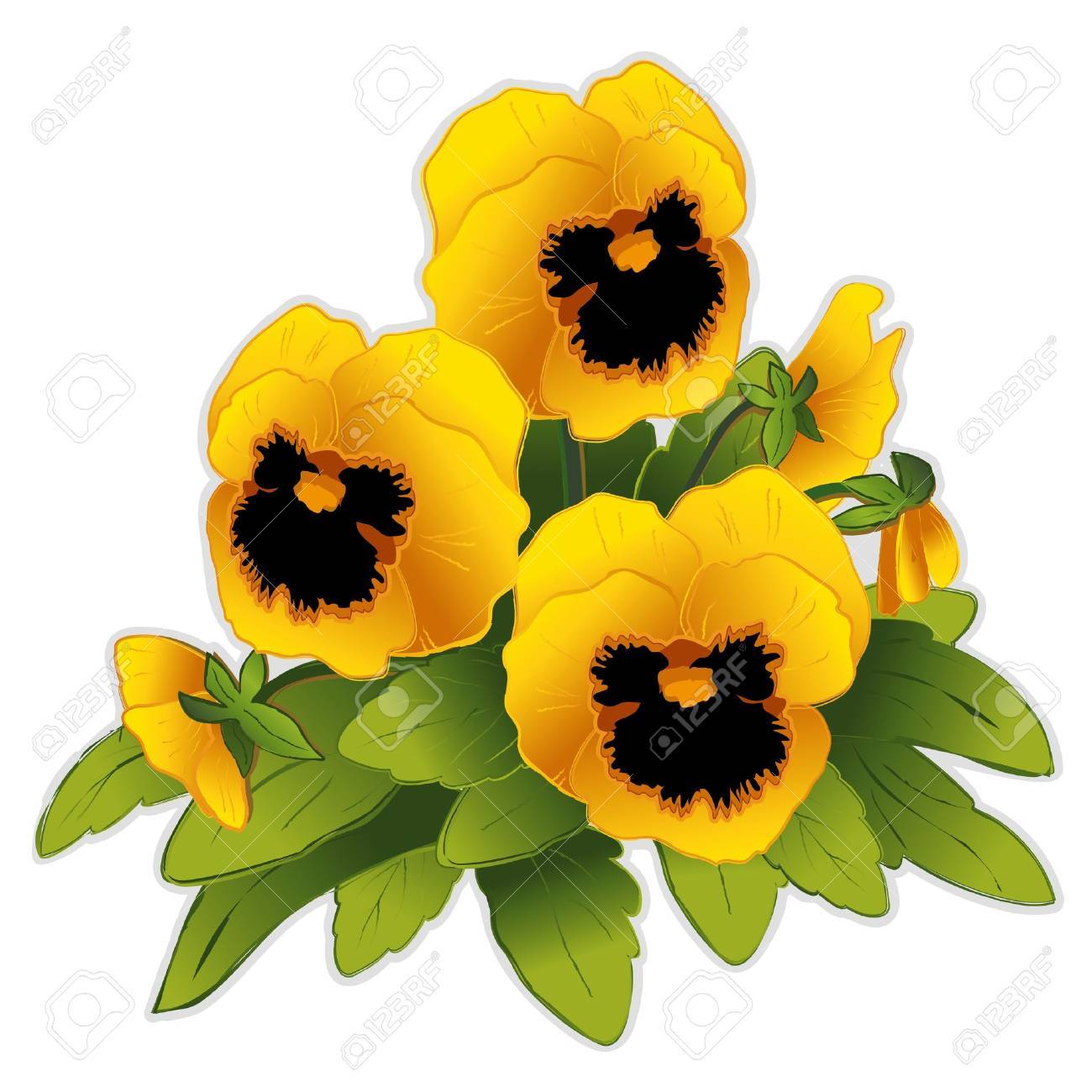 パンジーの黄金の花のイラスト素材 ベクタ Image