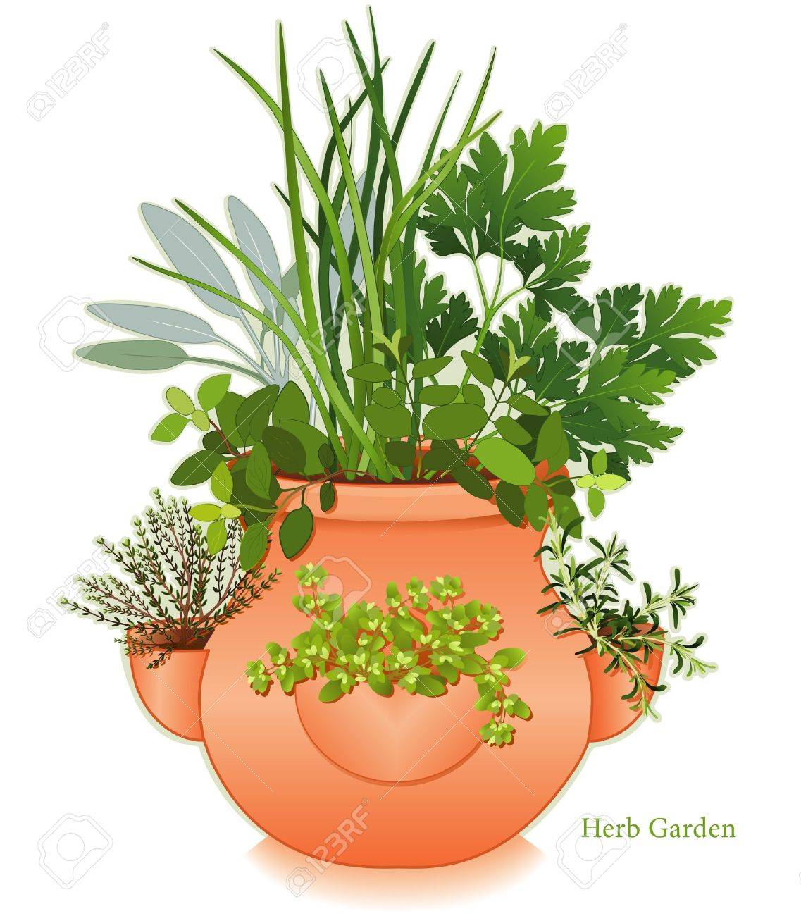 ハーブ ガーデン粘土いちごのプランターのため Jar グルメ クッキング 左右英語タイム イタリアのオレガノ セージ チャイブ フラット リーフ パセリ ローズマリー 甘いマジョラム Eps8 互換性のあるを参照してください他のハーブとスパイスこのシリーズ の ハーブ ガーデン粘土いちごのプランターのため Jar グルメ クッキング 左右英語タイム イタリアのオレガノ セージ チャイブ フラット リーフ パセリ ローズマリー 甘いマジョラム Eps8 互換性のあるを参照してください他のハーブとスパイスこのシリーズ の