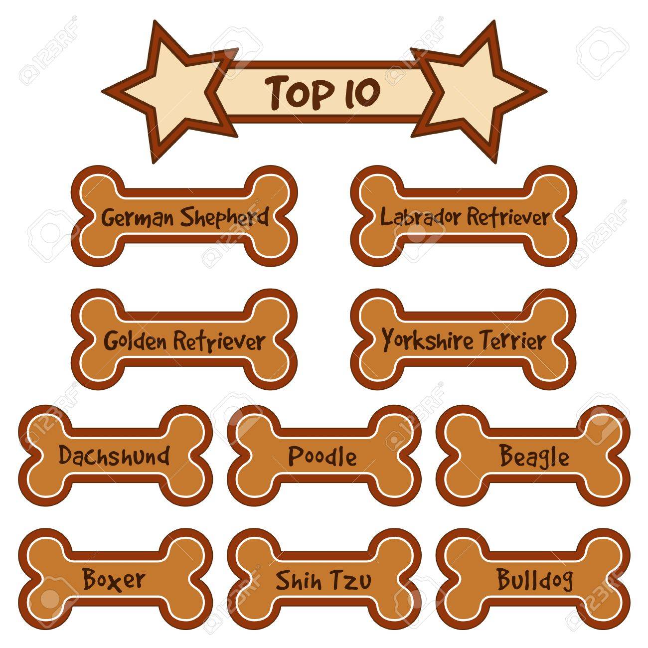 top most popular dog breeds