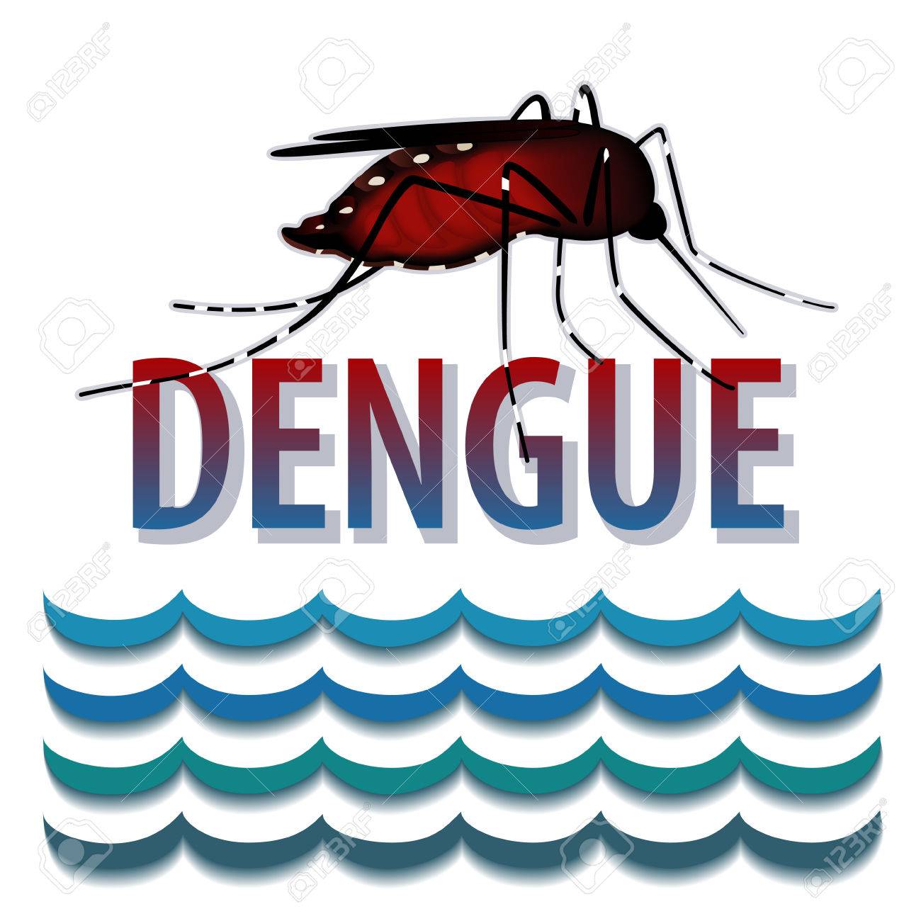 Dengue Fever Infects La Fte De >> Dengue Fever Mosquito Infectious Virus Disease Standing Water Dengue Fever Infects La Fte De >> Dengue Fever Mosquito Infectious Virus Disease Standing Water