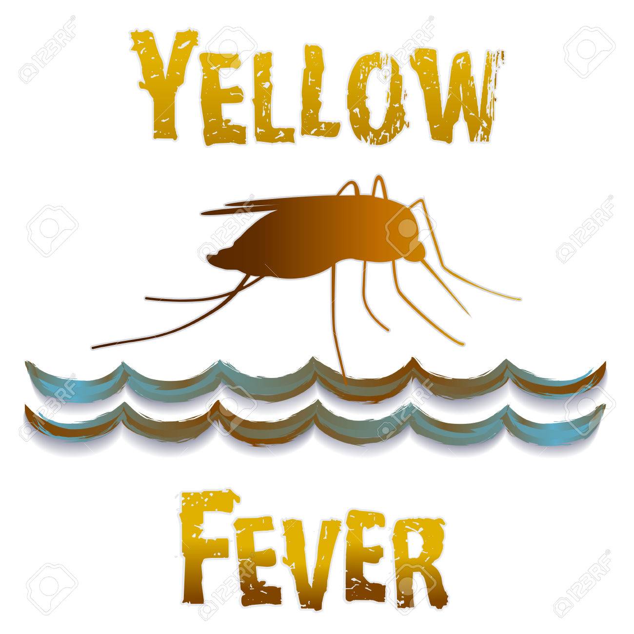 黄色熱の蚊 淀んだ水 白い背景で隔離された図を表示のイラスト素材 ベクタ Image