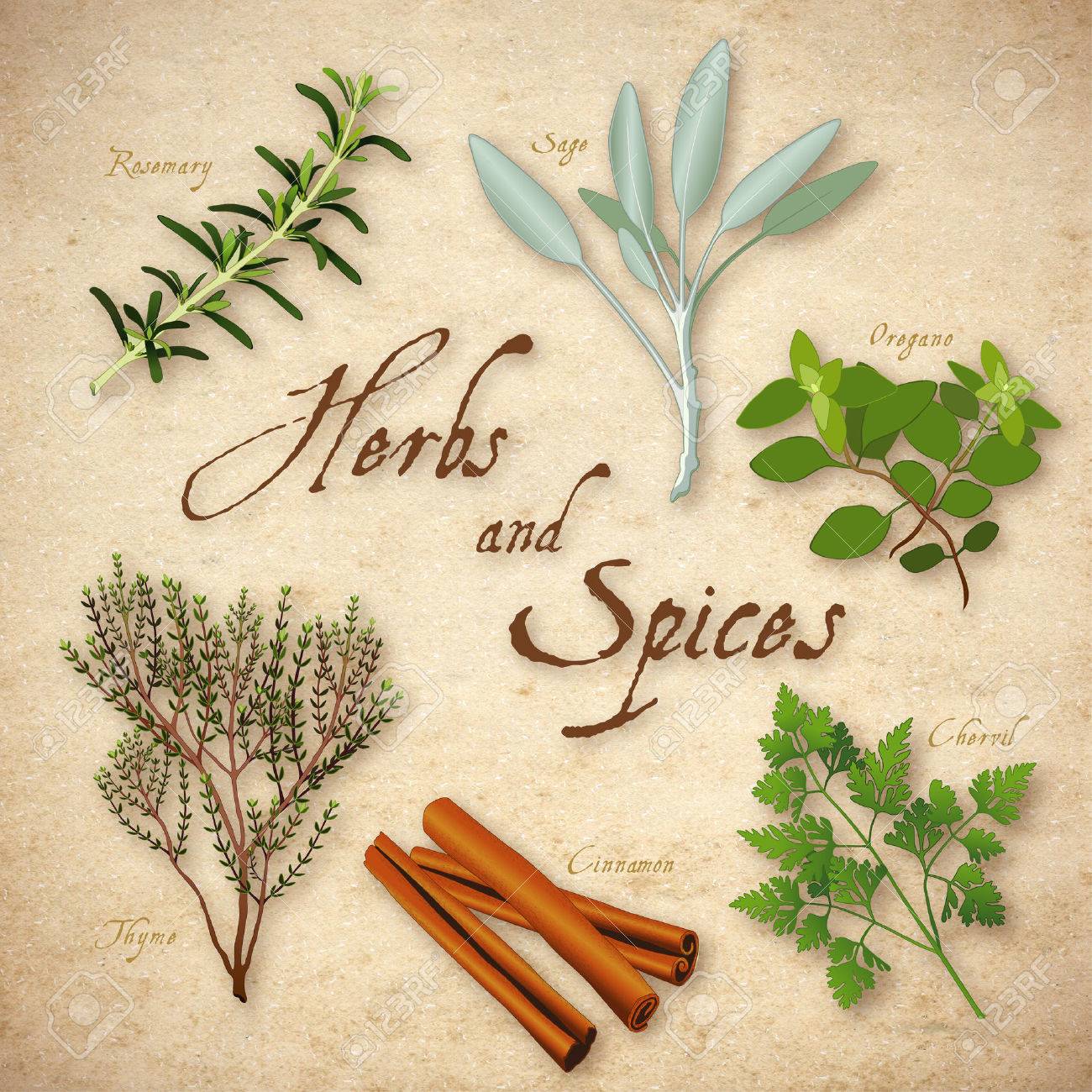Krauter Und Gewurze Rosmarin Salbei Garten Franzosisch Kerbel Zimtstange Englisch Thymian Oregano Italienisch Auf Rustikalen Textur Hintergrund Lizenzfreie Fotos Bilder Und Stock Fotografie Image 30679930