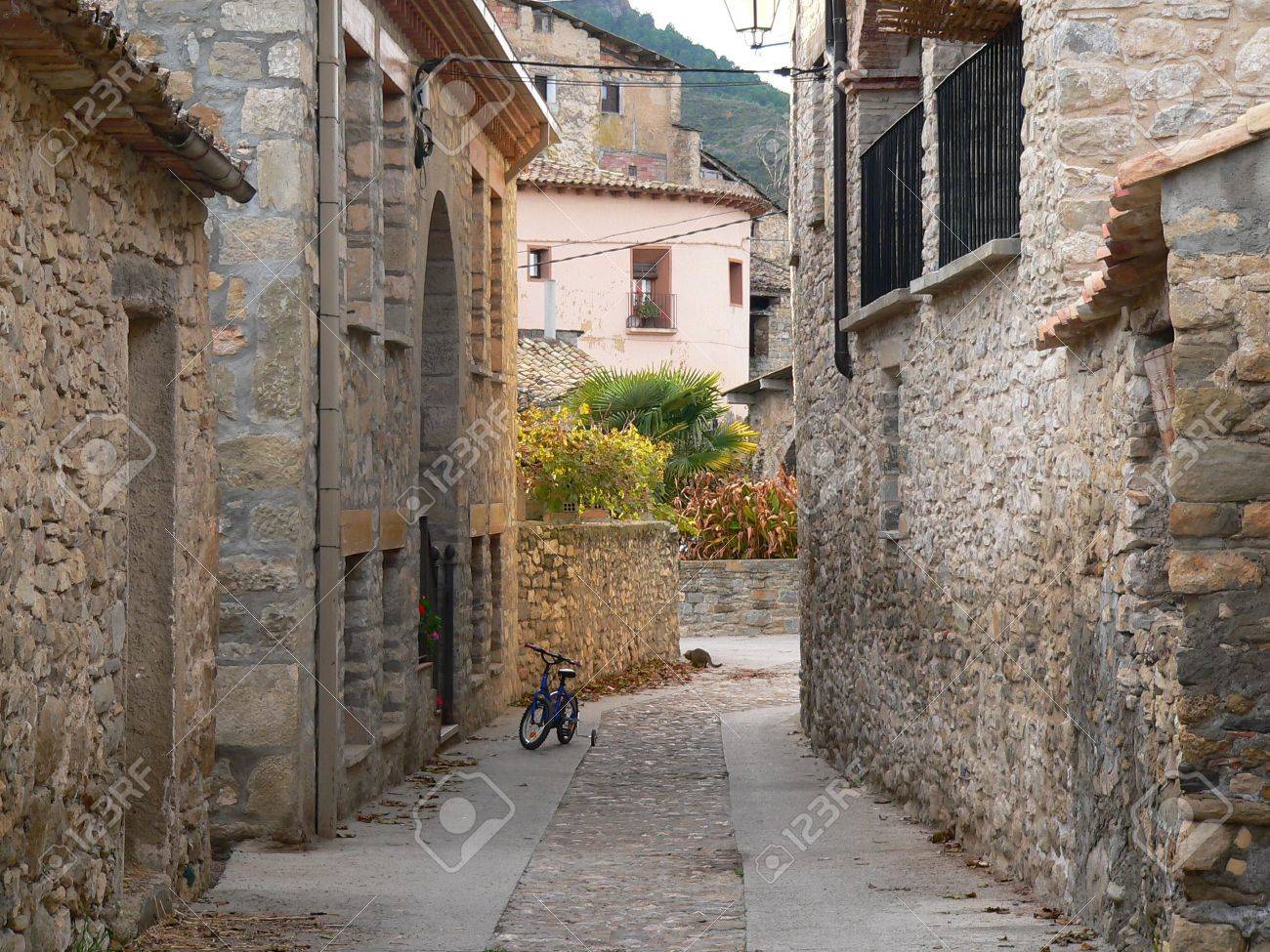 etiam-dictum-ipsum-a-felis