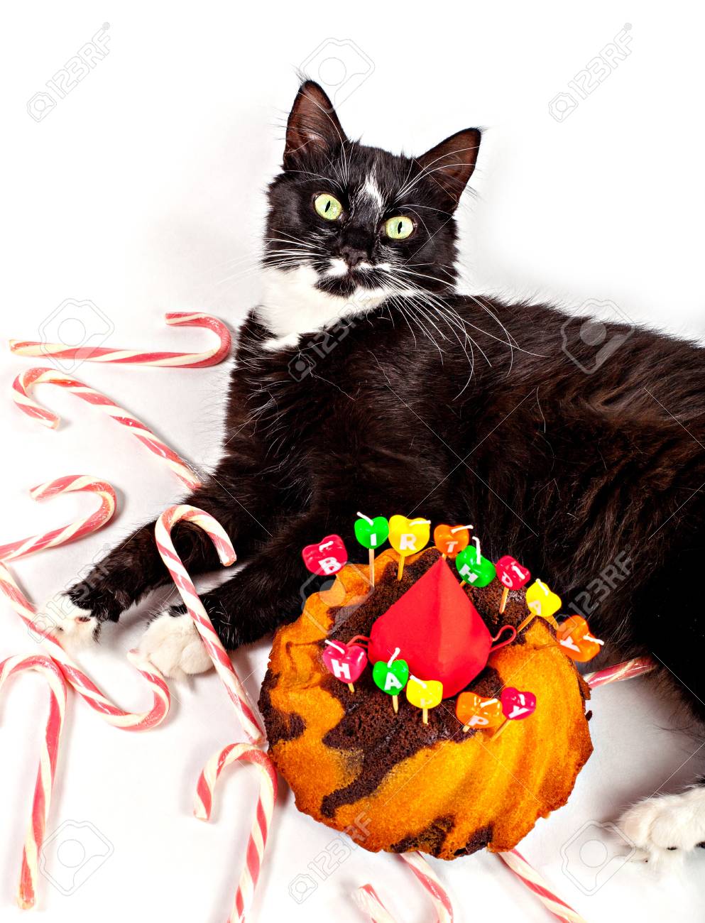 Chat Avec Le Gateau D Anniversaire Et Sucettes Isole Sur Blanc Banque D Images Et Photos Libres De Droits Image