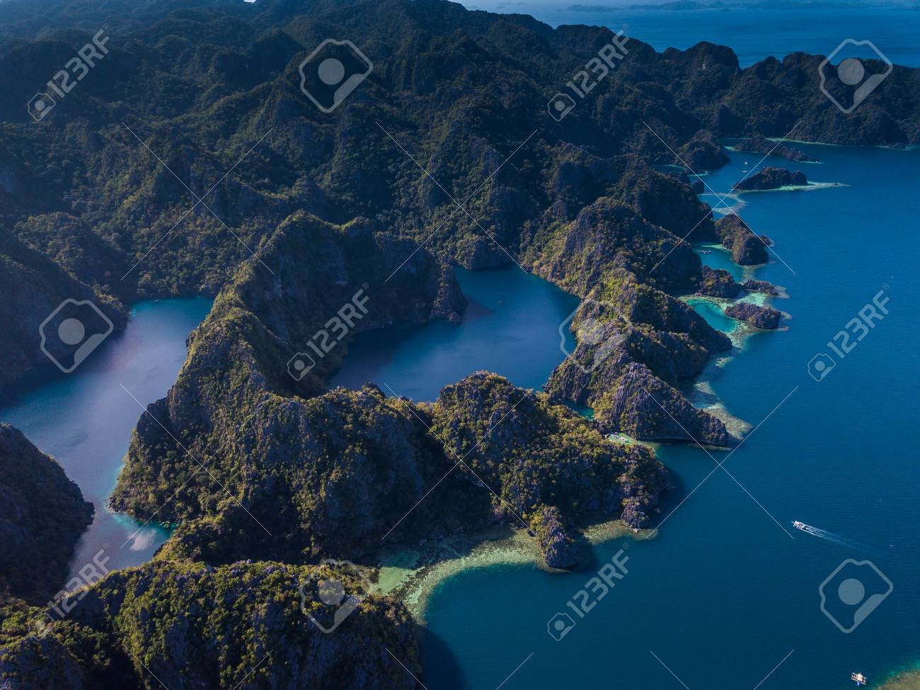 etiam-dictum-ipsum-a-felis