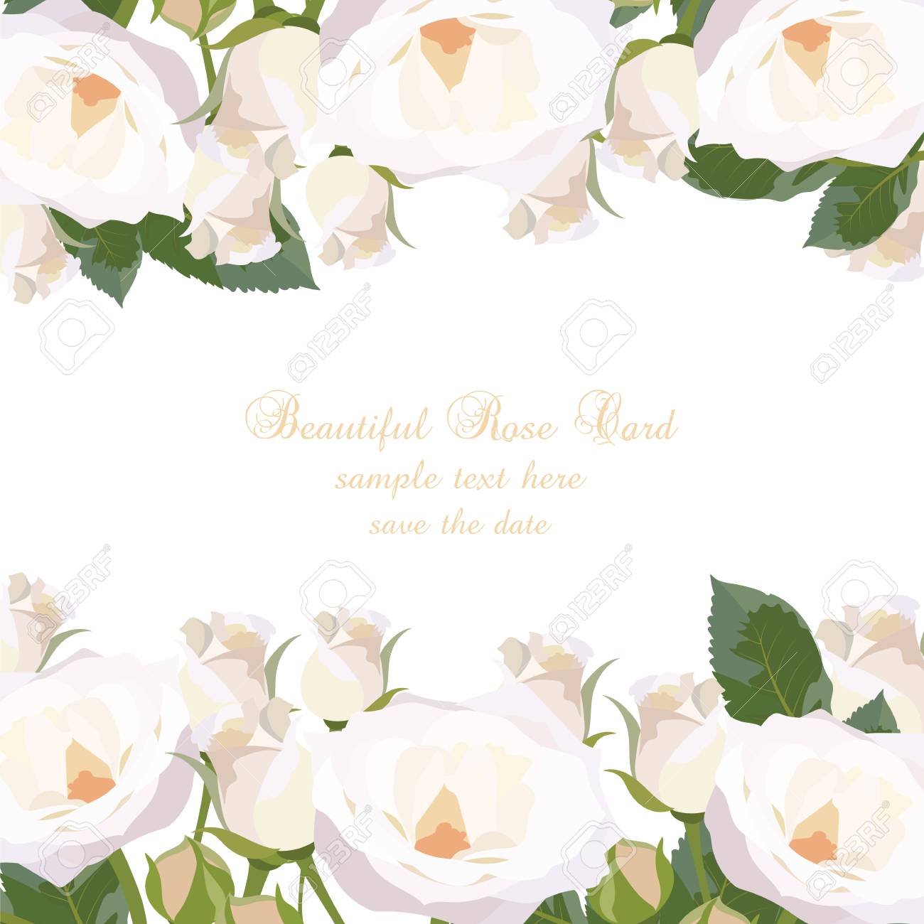 Tarjeta De Las Rosas Blancas Delicada. Vector De Flores Color De Rosa De Fondo. Tarjeta De Felicitación Elegante O La Invitación Para La Boda, Cumpleaños, Día De La Madre Día De San Tarjeta De Las Rosas Blancas Delicada. Vector De Flores Color De Rosa De Fondo. Tarjeta De Felicitación Elegante O La Invitación Para La Boda, Cumpleaños, Día De La Madre Día De San