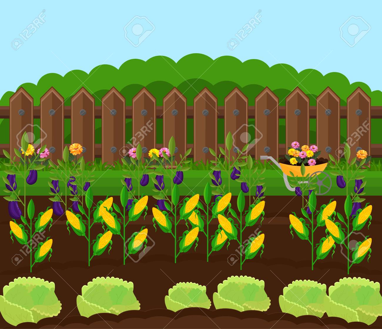 Vector De Jardin De Cosecha De Maiz Ilustracion De Fondos De