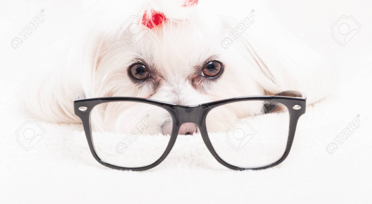 reading glasses with camera