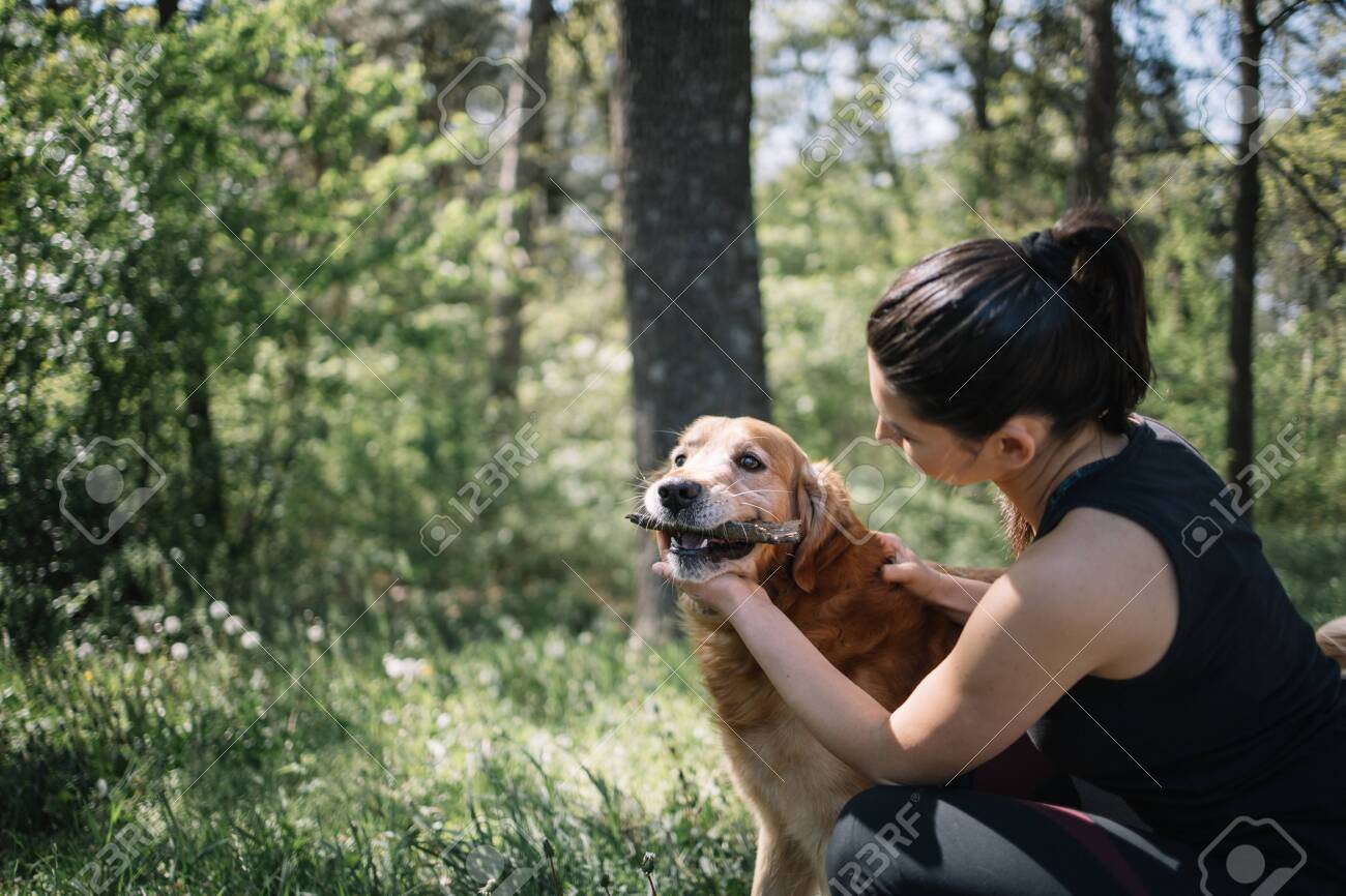 Cute Dog Eating Wood Crust While Standing In Nature Side View Stock Photo Picture And Royalty Free Image Image 148822057 Cute Dog Eating Wood Crust While Standing In Nature Side View Stock Photo Picture And Royalty Free Image Image 148822057