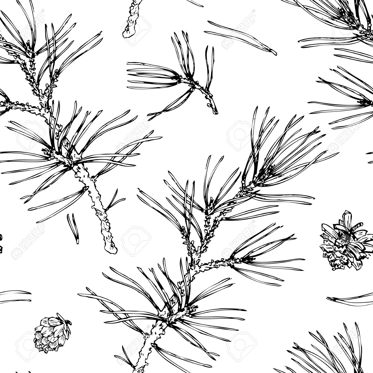 vector seamless pattern with hand drawn pine branches pine needles