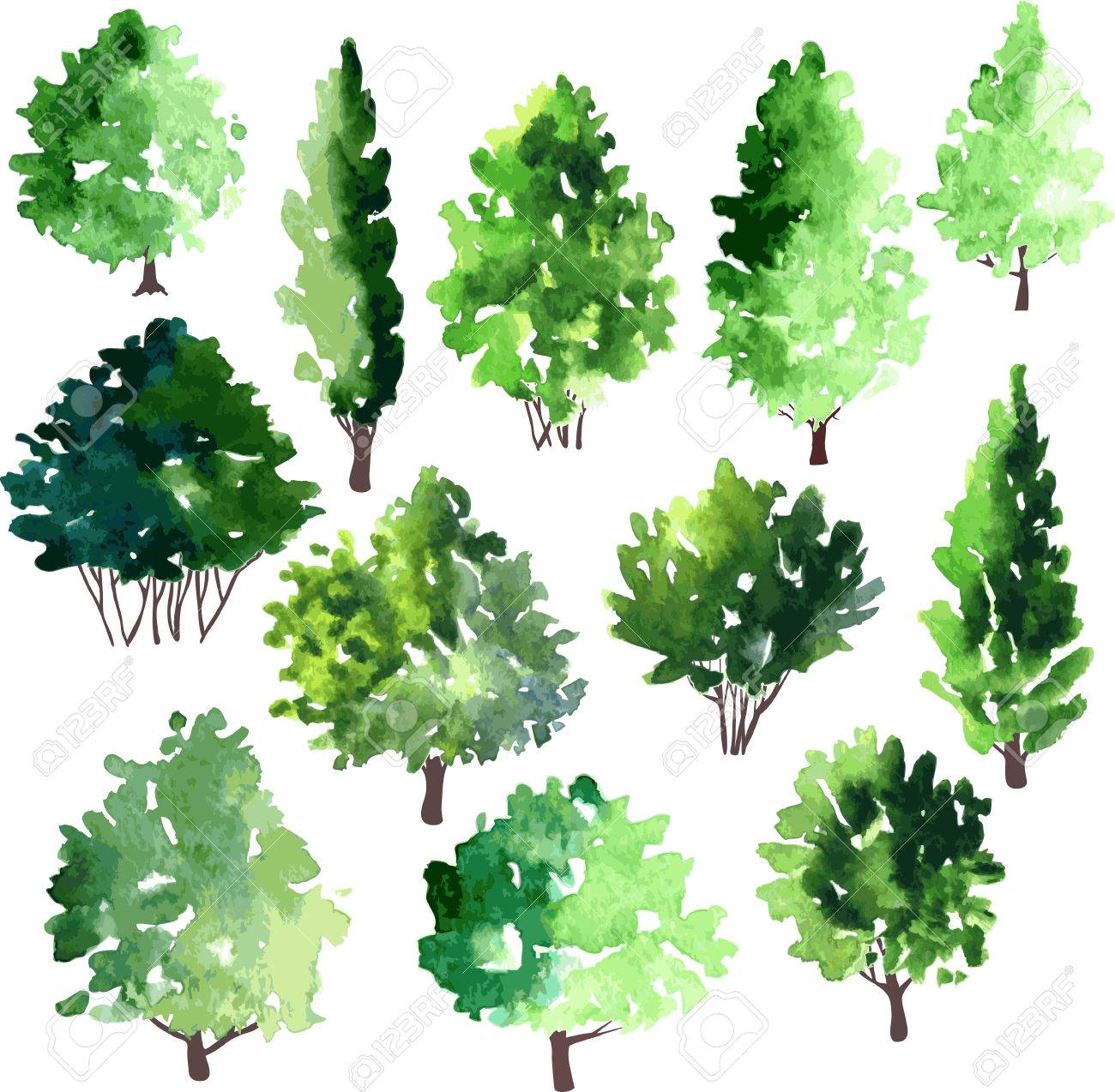 Un Ensemble De Differents Arbres A Feuilles Caduques Illustration Vectorielle Clip Art Libres De Droits Vecteurs Et Illustration Image 41729669