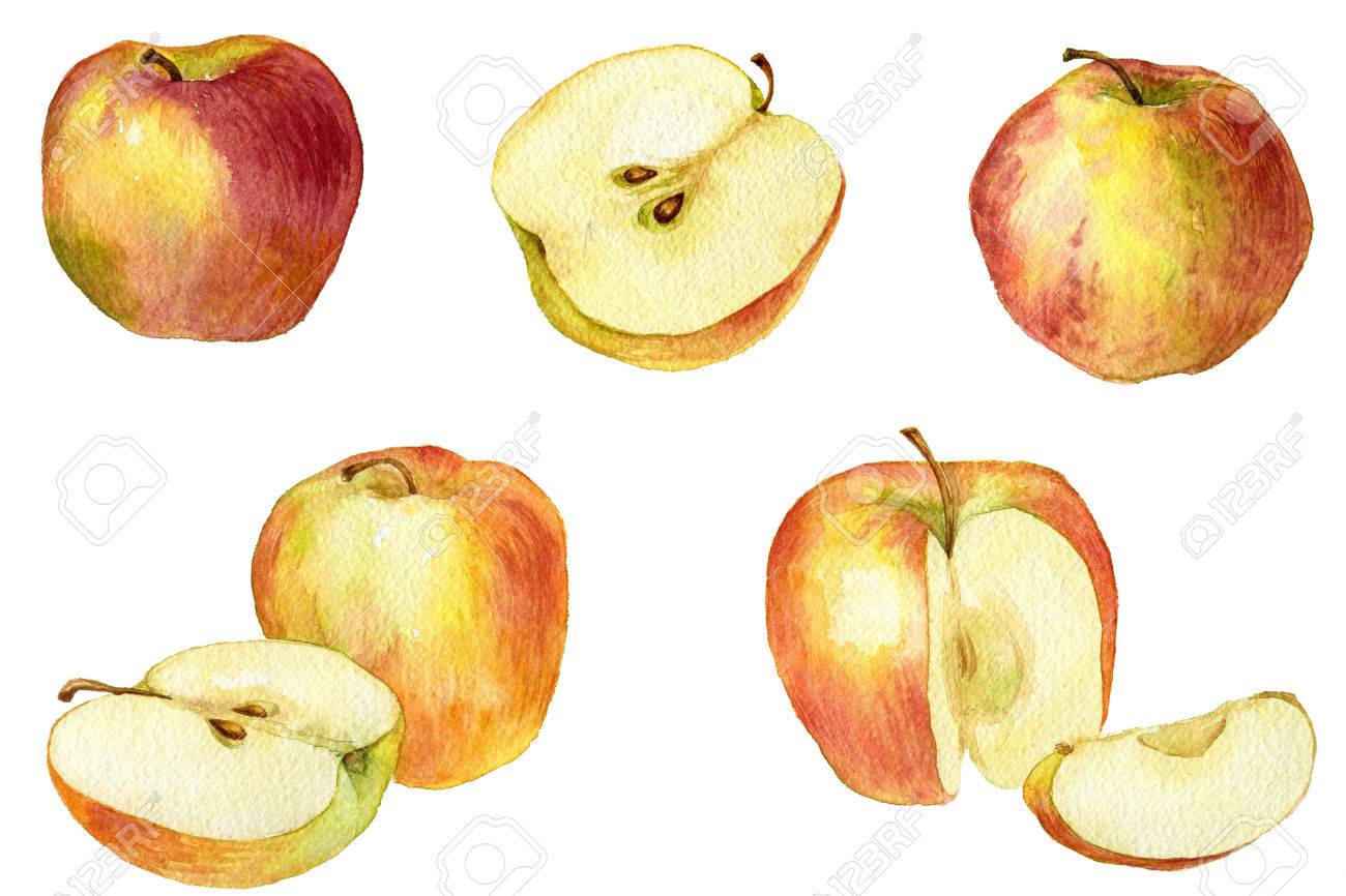 水彩画『Une pomme』絵画 りんご アンティークアート林檎