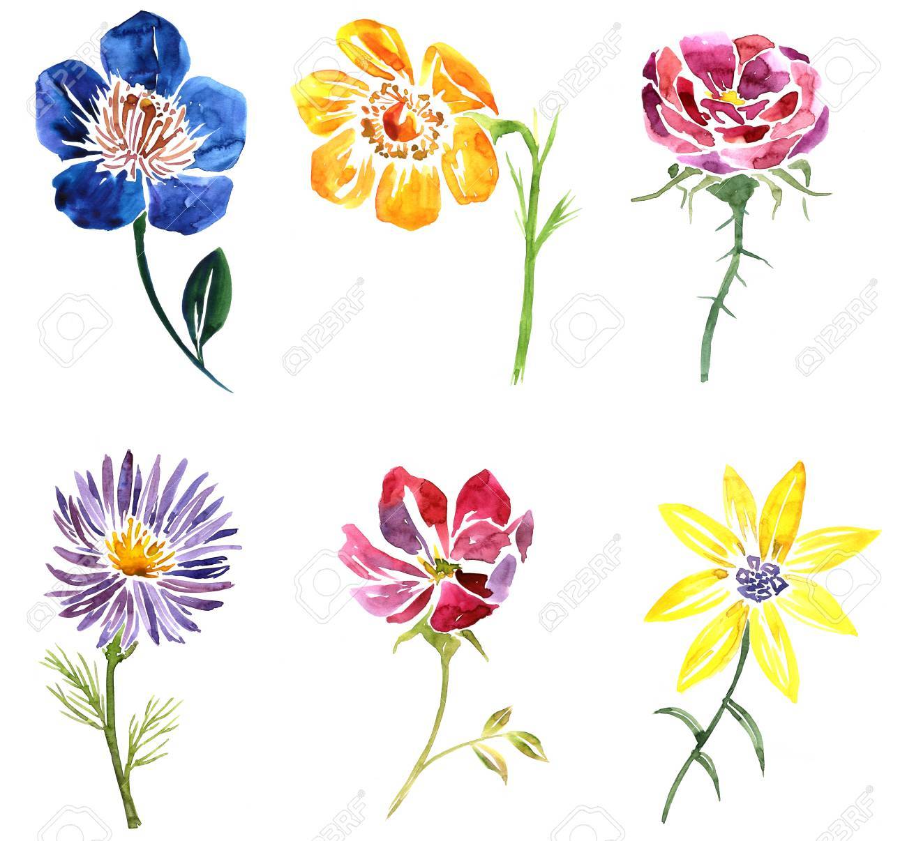 Dessin Fleurs Aquarelle Ensemble Déléments Floraux Isolés Dessinés à La Main Fond Artistique Peinture Illustration