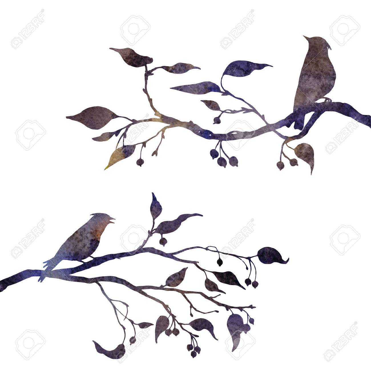 Silhouettes Doiseaux à Larbre De Dessin à Laquarelle Tiré Par La Main Jaseurs à Branches De Pommier Sauvage Illustration Tirée Par La Main