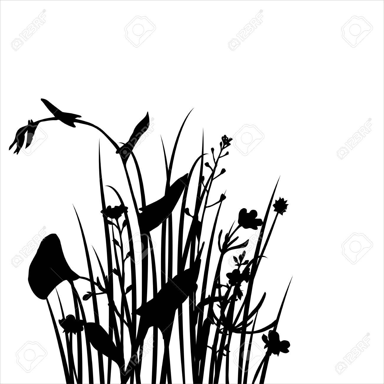 花や草 野生植物 ハーブの Bacdrop 黒のモノクロの花テンプレート 背景のベクトル シルエット手描き下ろしイラスト のイラスト素材 ベクタ Image