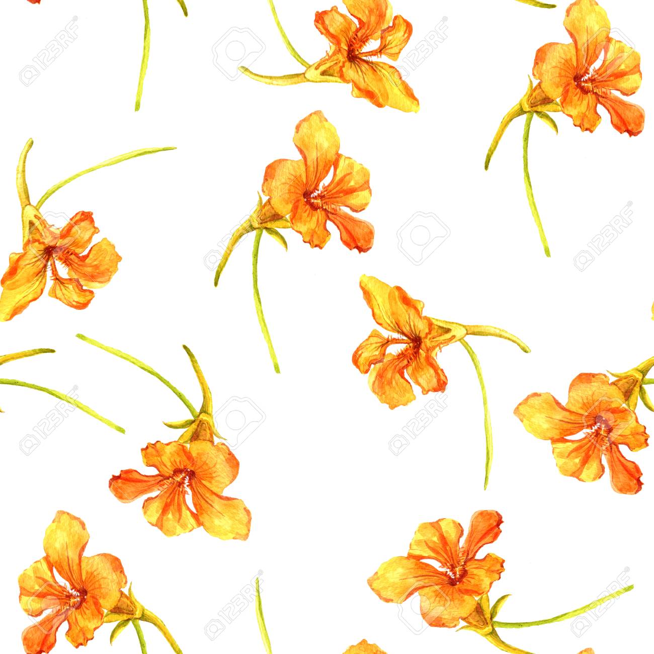 Stock Illustration