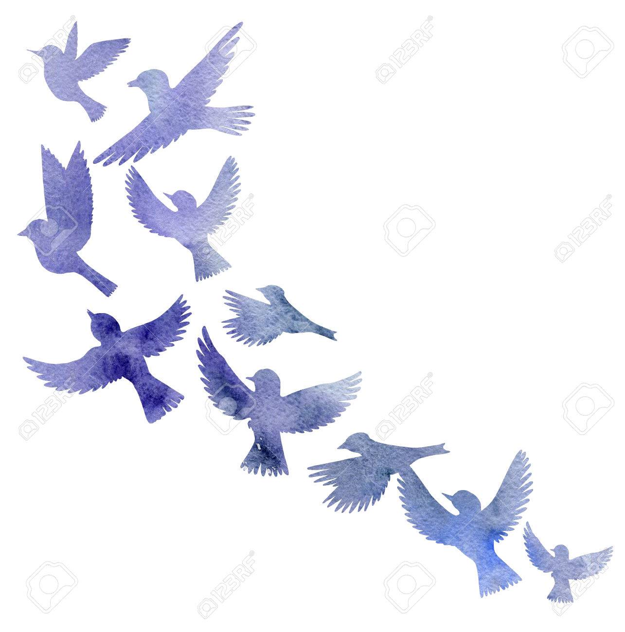 Watercolor Flying Birds Silhouettes Stock Photo Picture And Royalty Free Image Image Watercolor Flying Birds Silhouettes Stock Photo Picture And Royalty Free Image Image