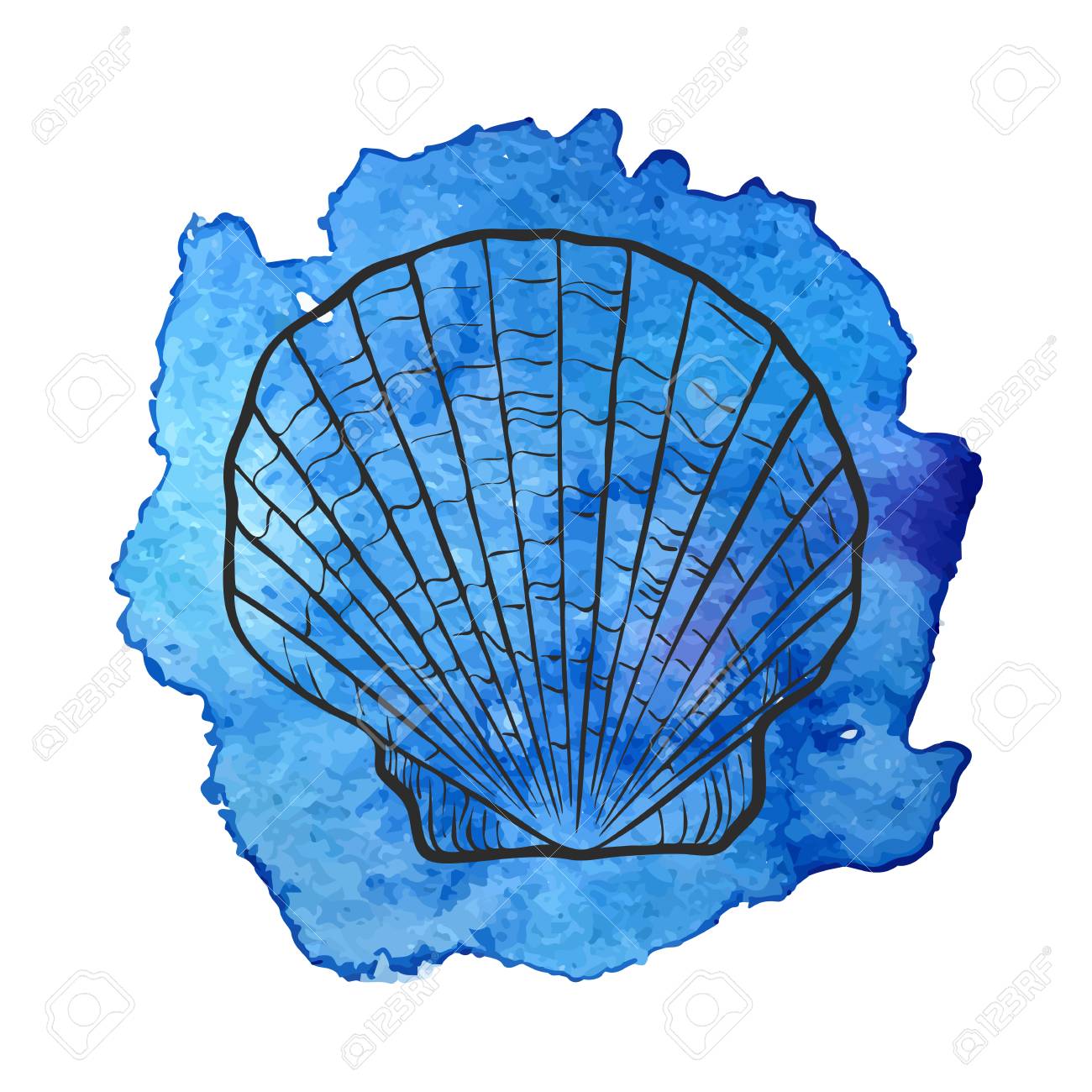 青い水彩背景で貝殻をベクトル 手描き下ろしイラスト のイラスト素材 ベクタ Image