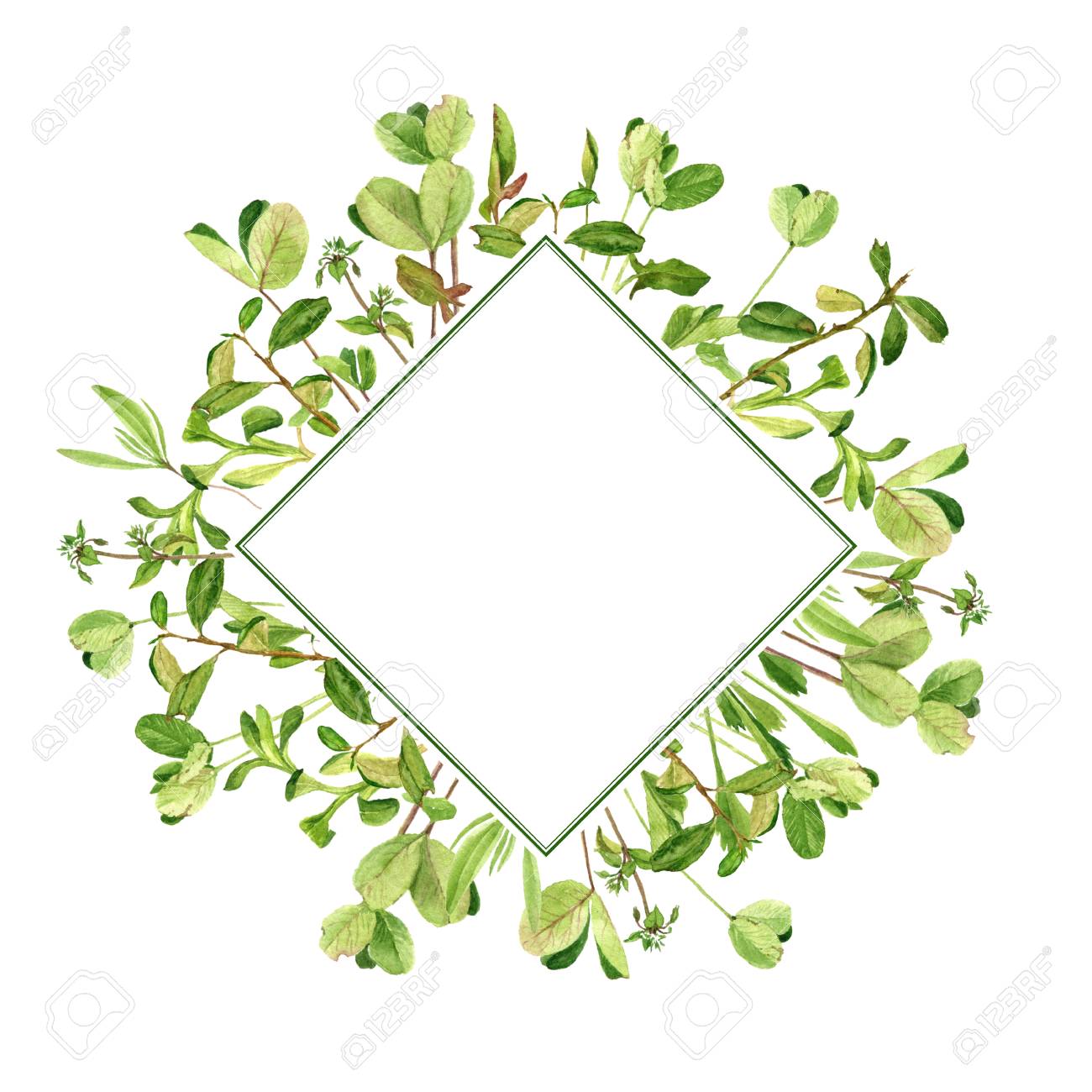 template with drawing clover leaves stock photo picture and royalty