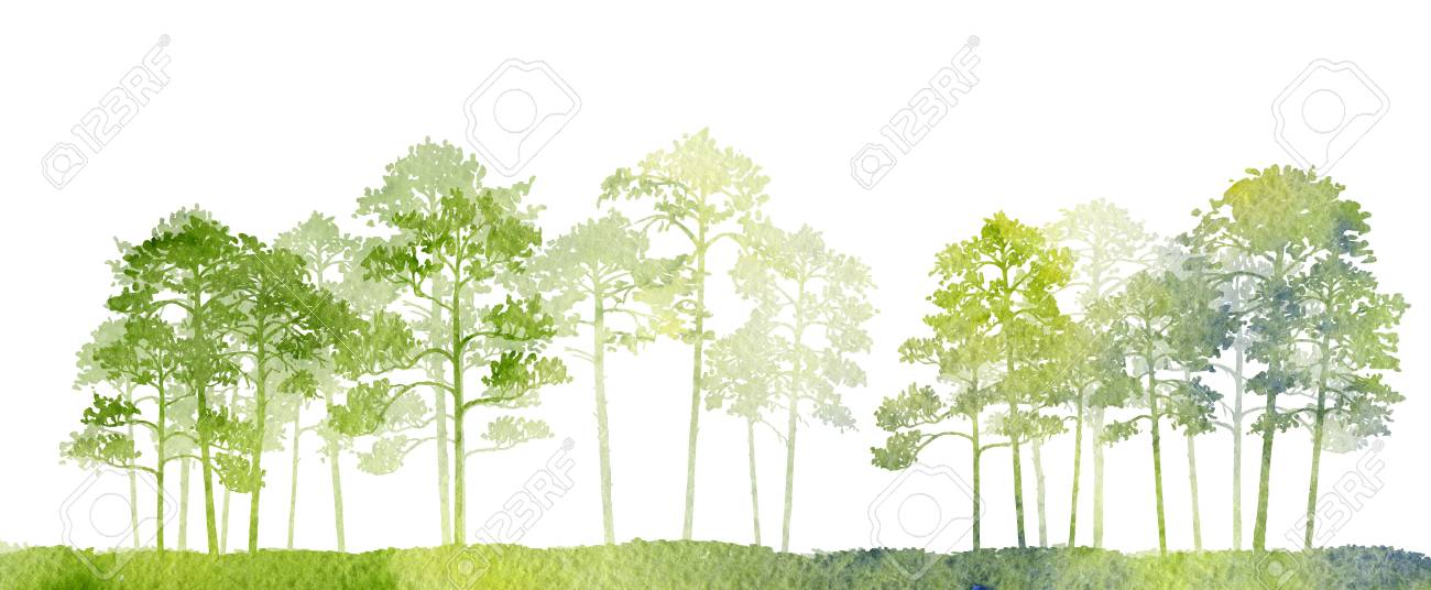 松の木や草 抽象的な自然の背景 針葉樹の森のテンプレート 手描きのイラストと水彩風景 の写真素材 画像素材 Image