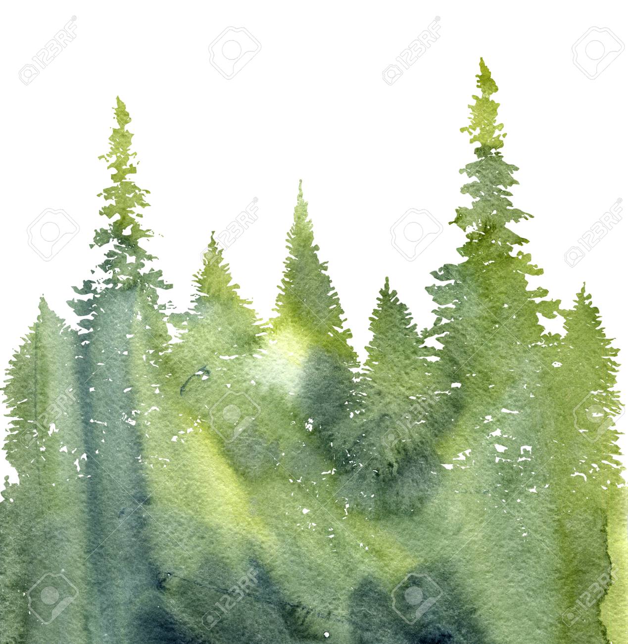 Watercolor Landscape With Fir Trees And Grass Abstract Nature