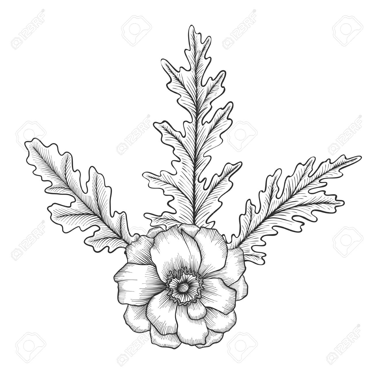 花と葉を持つヴィンテージベクター花の組成物 彫刻の模倣 手描きのデザイン要素のイラスト素材 ベクタ Image