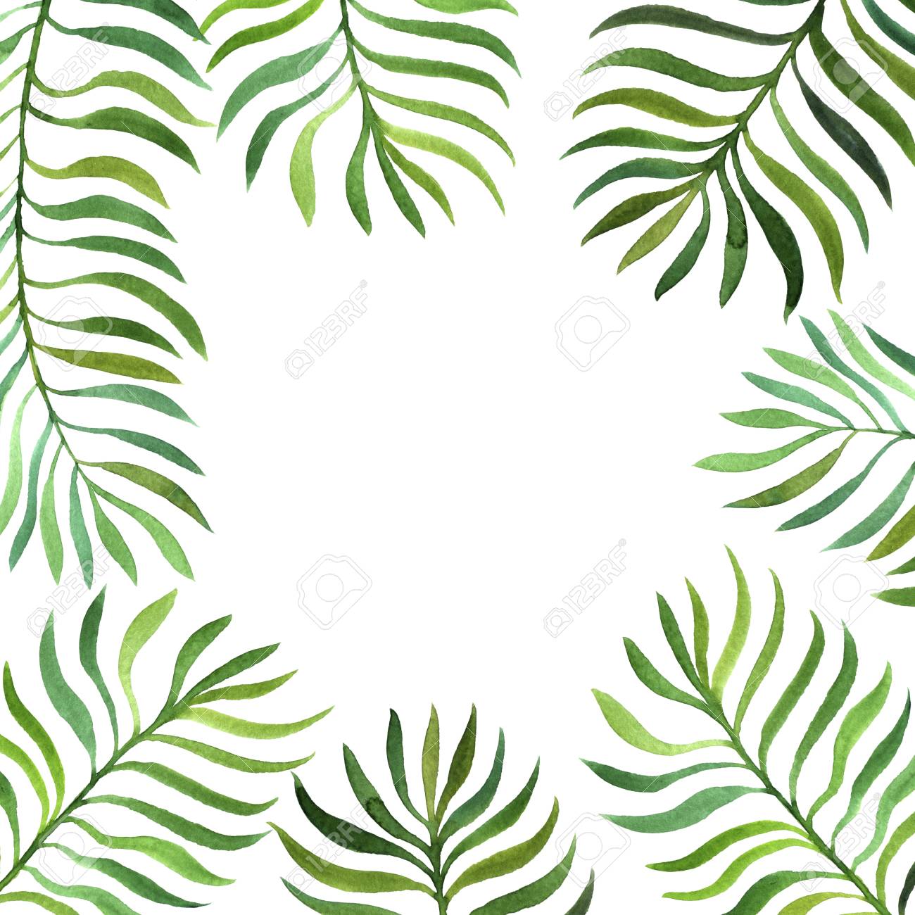 Background With Watercolor Fern Leaves Stock Photo Picture And