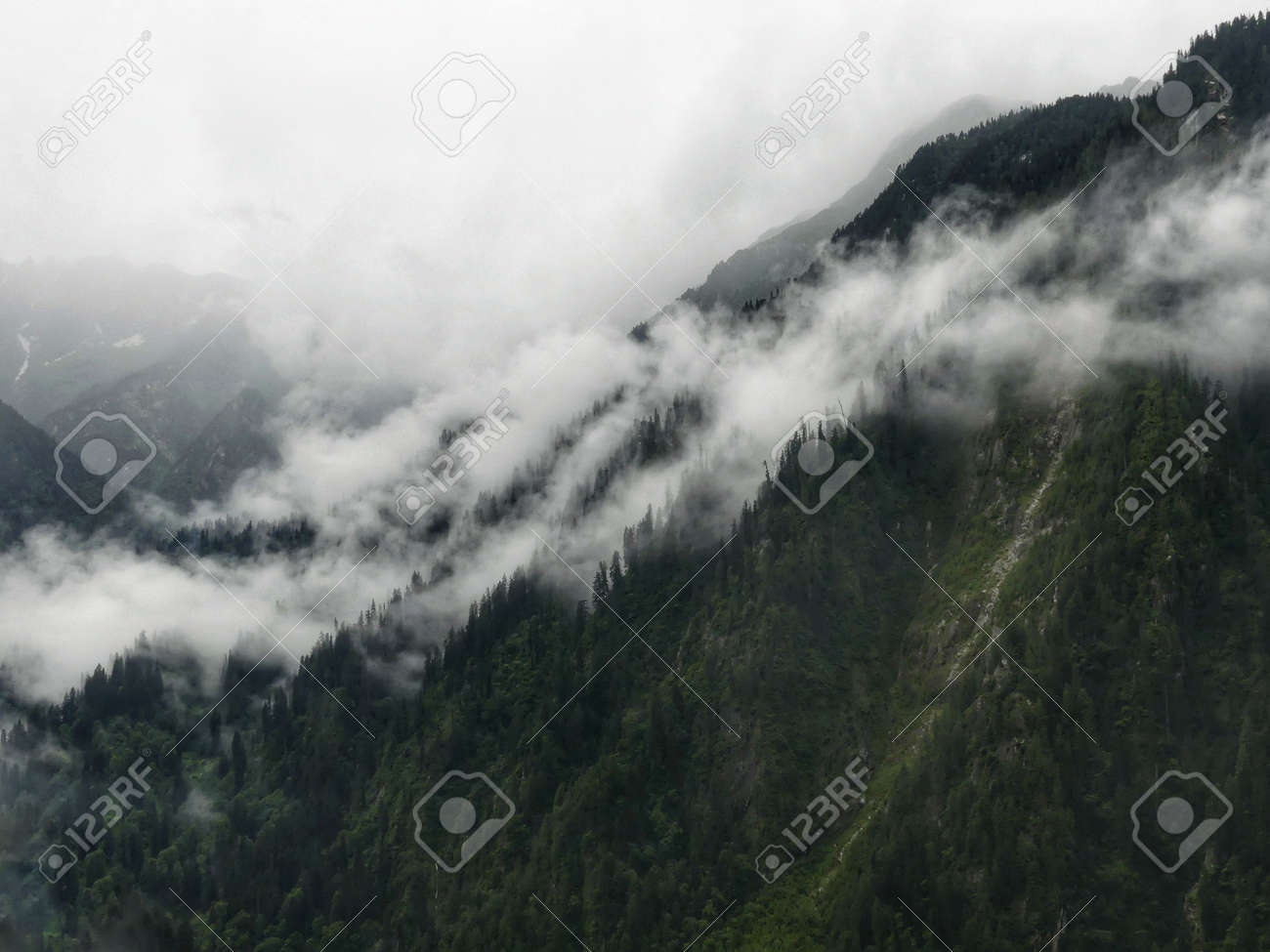 etiam-dictum-ipsum-a-felis