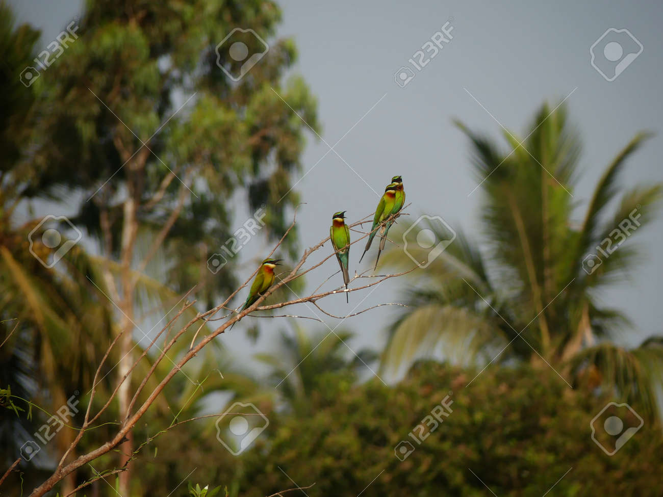 etiam-dictum-ipsum-a-felis