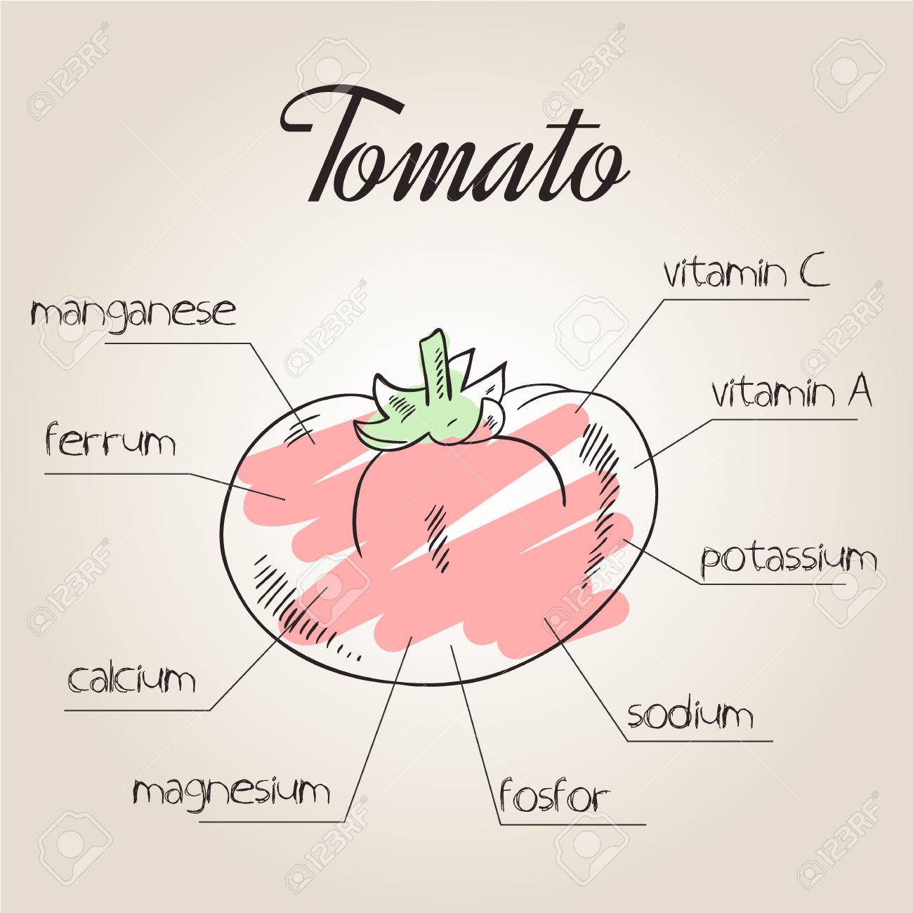 Los nutrientes del tomate