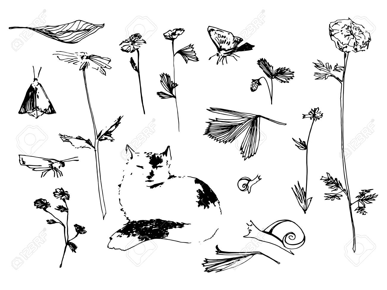 Garden Set Flower Butterfly And Snail Sketch Illustration