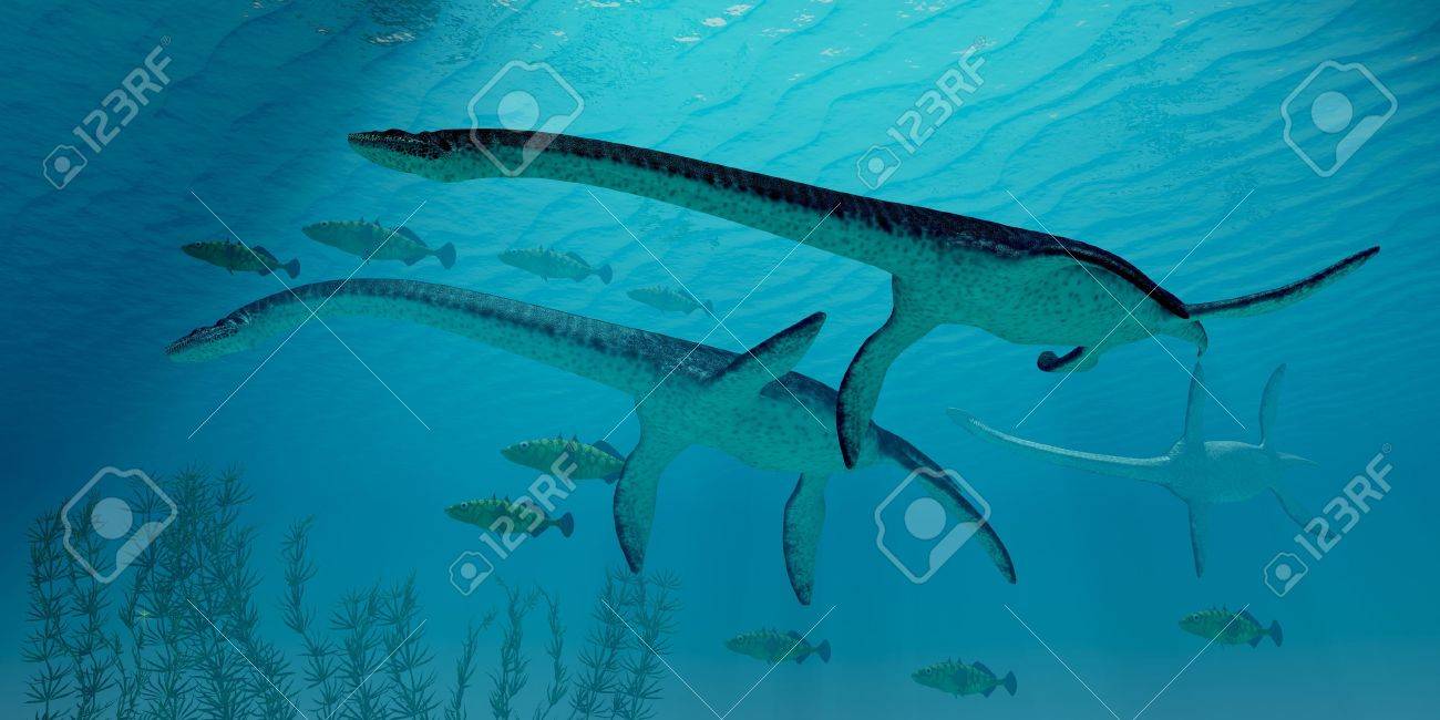 プレシオサウルス 3 プレシオサウルス恐竜移行暖かいジュラ紀海に魚の学校と共に の写真素材 画像素材 Image プレシオサウルス 3 プレシオサウルス恐竜移行暖かいジュラ紀海に魚の学校と共に の写真素材 画像素材 Image