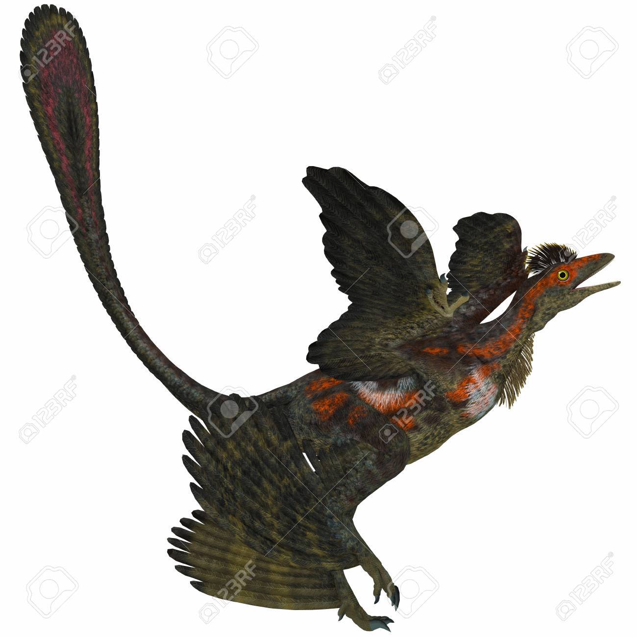 ホワイト ミクロラプトルにミクロラプトルは 白亜系時代は 中国の 4 つ翼を持つ小さな空飛ぶ恐竜 の写真素材 画像素材 Image 2714